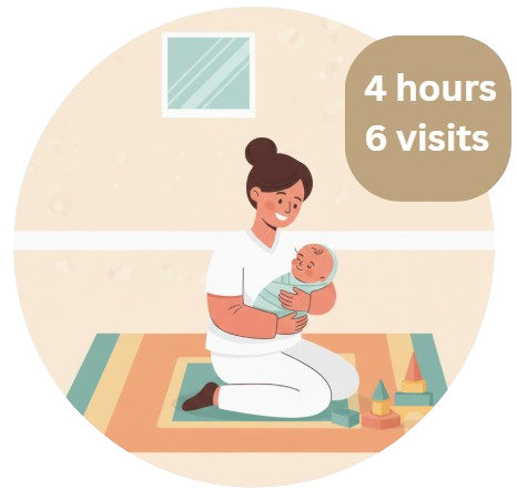 4 hours babysitter 6 visits