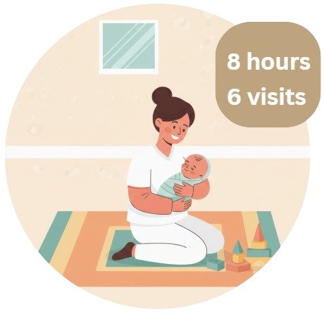 8 hours babysitter 6 visits