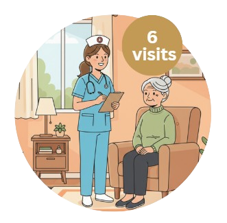 6 Nursing visits