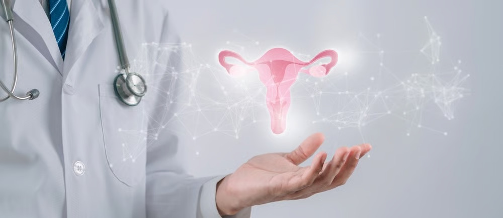 Everything You Need to Know About Vaginal Rejuvenation: Indications, Treatment Options, and Risks